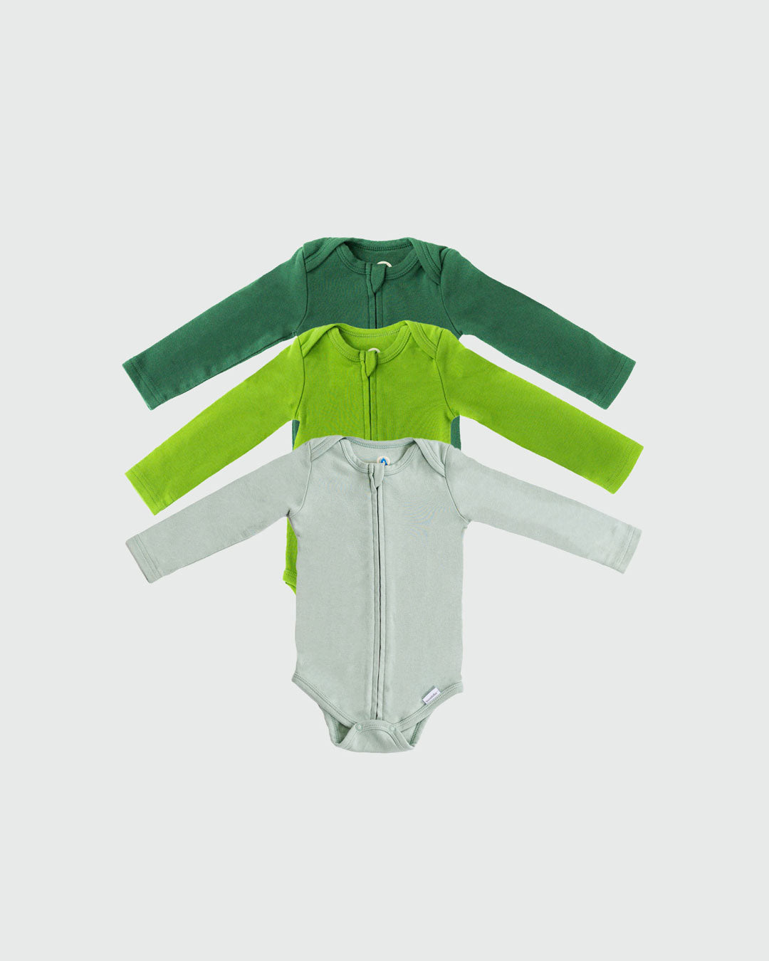 Green-Bundle-LS