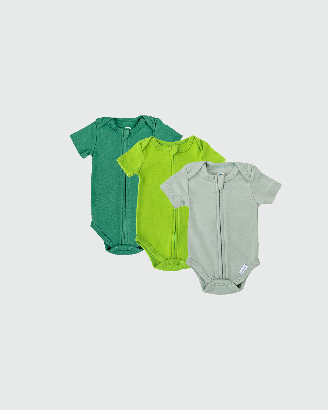 Green-Bundle-SS